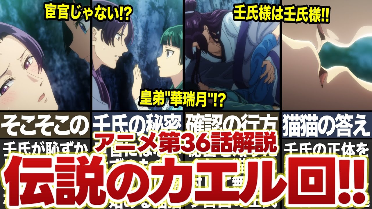 【薬屋のひとりごと】アニメ最新36話「華瑞月」解説！！壬氏と猫猫の伝説のカエル事件がついにアニメで見れた！！【ゆっくり解説】 #薬屋のひとりごと #アニメ #猫猫 #壬氏