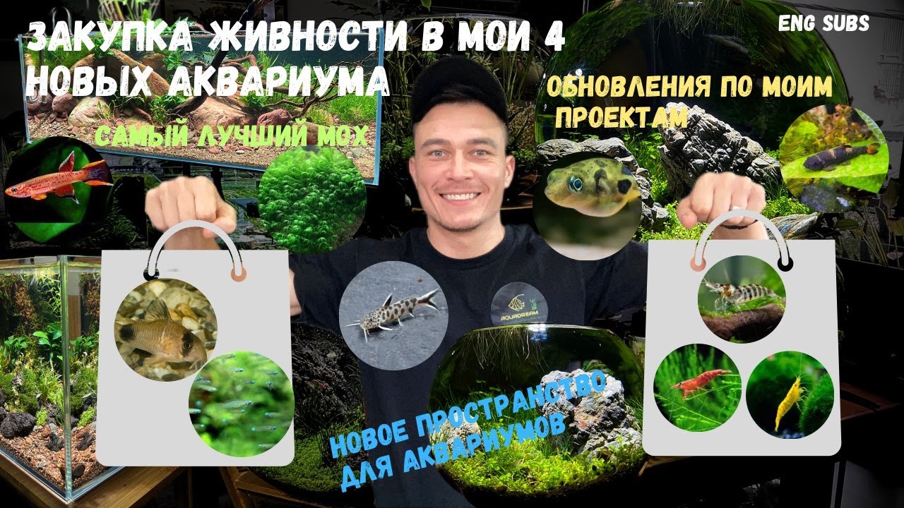 ЗАКУПКА ЖИВНОСТИ В 4 НОВЫХ АКВАРИУМА | BUYING FISH AND SHRIMP FOR MY LAST 4 PROJECTS