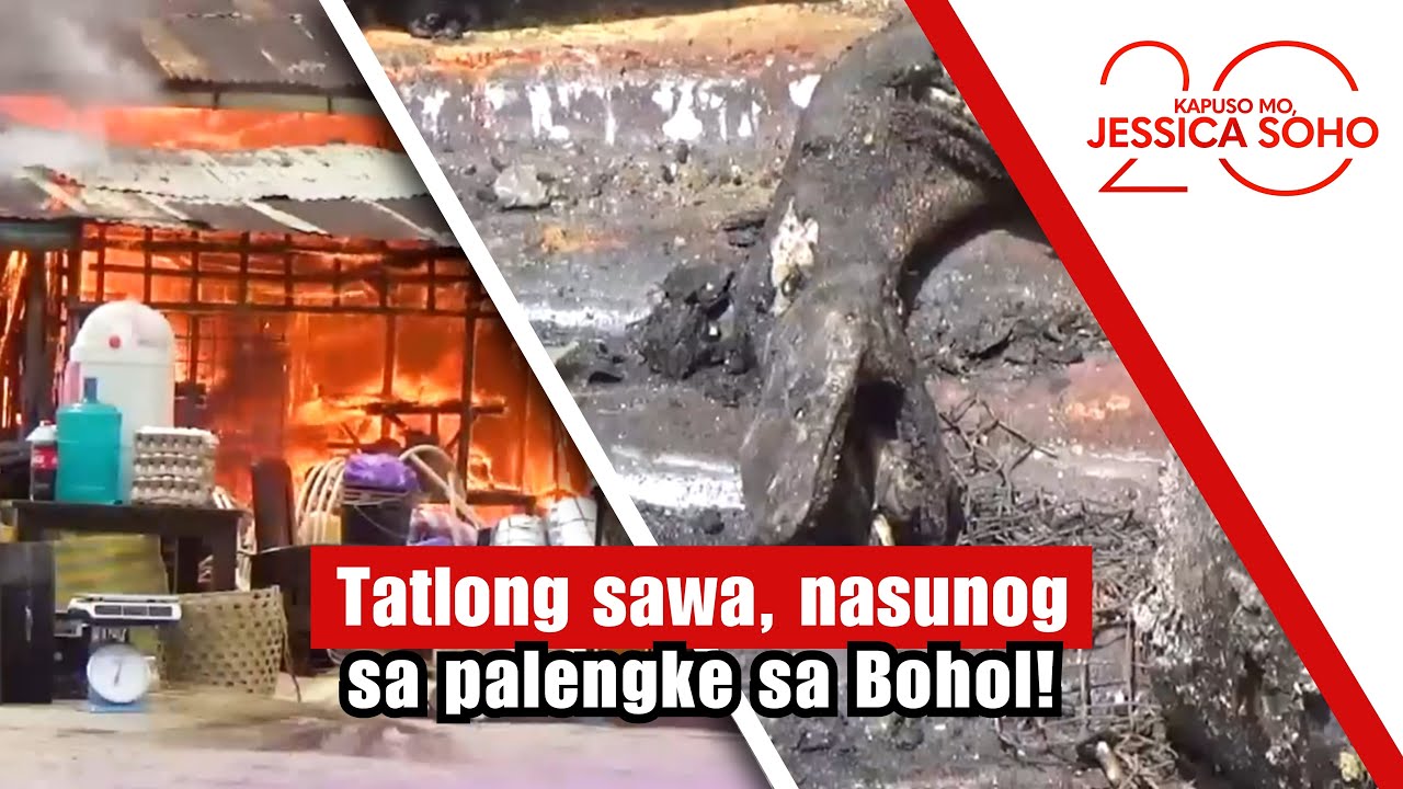Tatlong sawa, nasunog sa palengke sa Bohol! | Kapuso Mo, Jessica Soho