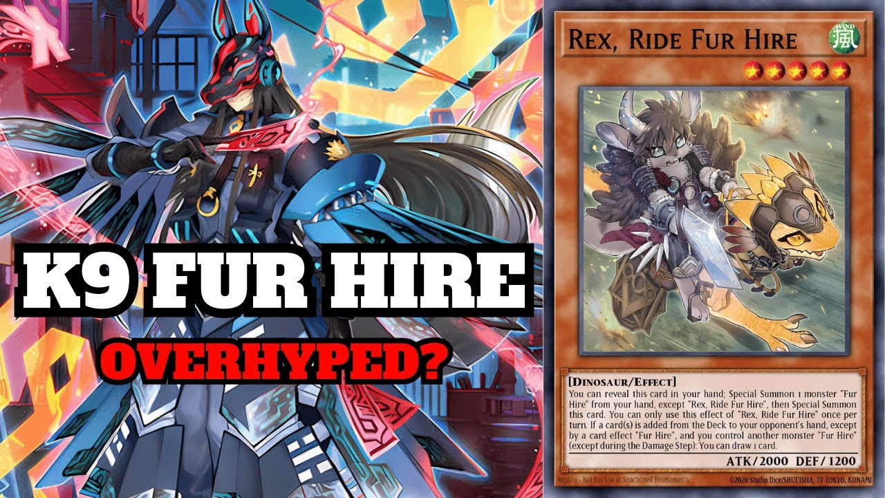 Is K9 Fur Hire Actually Good? | Yu-Gi-Oh! Deck Profile & Gameplay