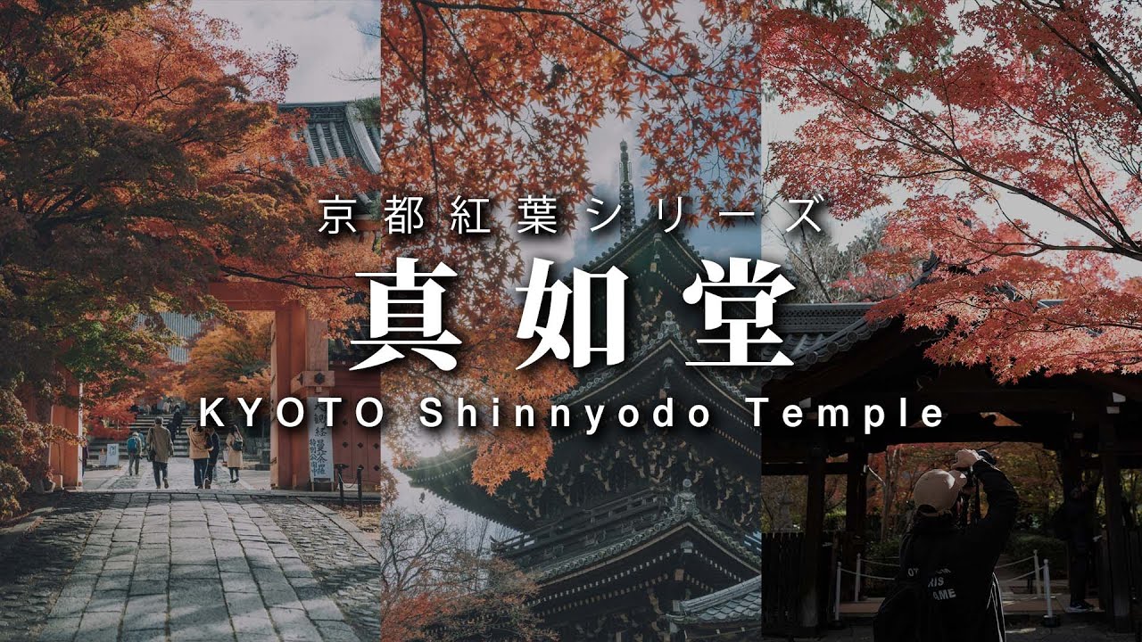 【真如寺】TAMRON35-150mm F/2-2.8 Di III VXDで紅葉撮ってみた【京都紅葉】