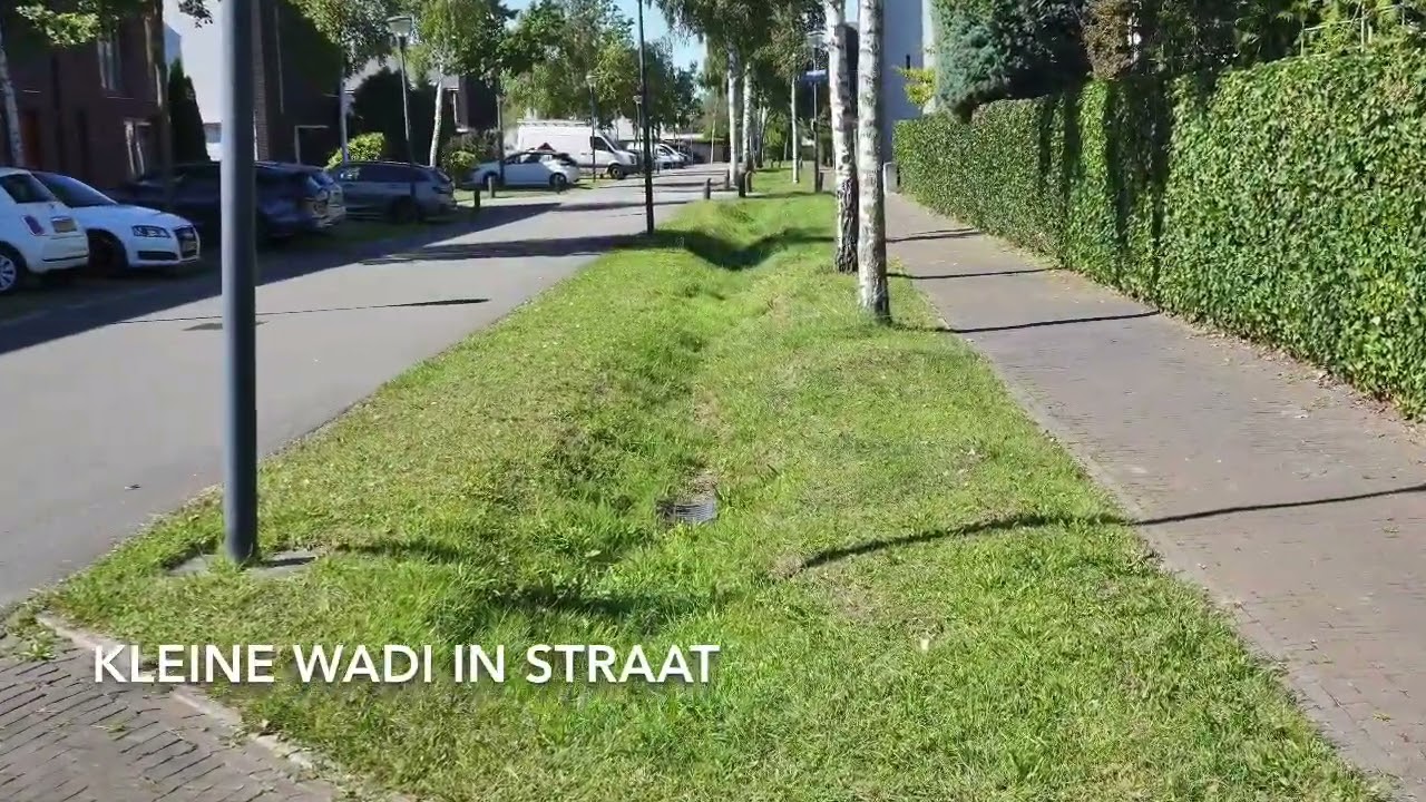Hoe maak je een stad groen en klimaatadaptief? Eindhoven laat het zien.