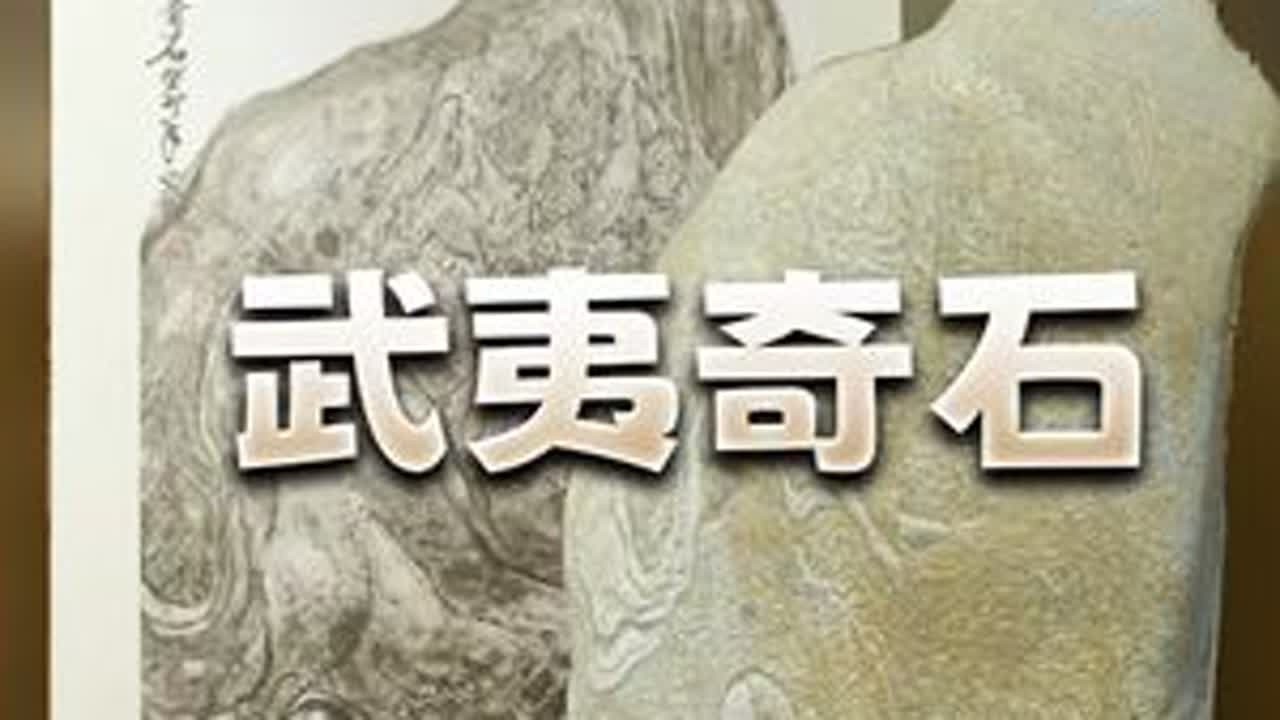 武夷奇石 大家看我旁边这块石头，是不是有点似曾相识？#奇石  #文玩 #武夷山#石来运转  #吹爆美好目的地