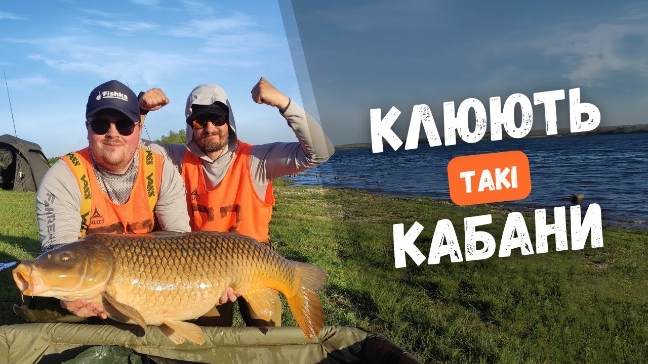 Ловля карпів монстрів на озері Прилбичі – КУБОК ЛЬВІВСЬКОЇ ОБЛАСТІ