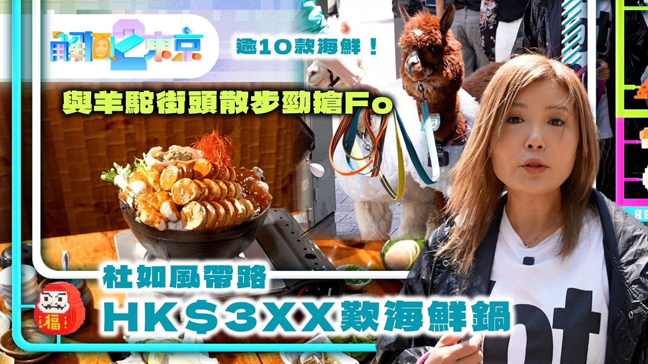 解風東京2｜ 杜如風帶路HK$3XX歎海鮮鍋 逾10款海鮮！與羊駝街頭散步勁搶Fo 一次試勻日本47縣味噌湯｜TVB Plus