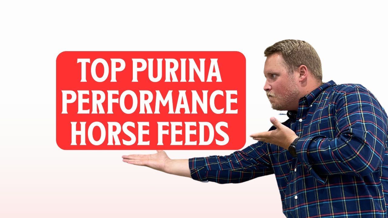 Top Purina Performance Horse Feeds