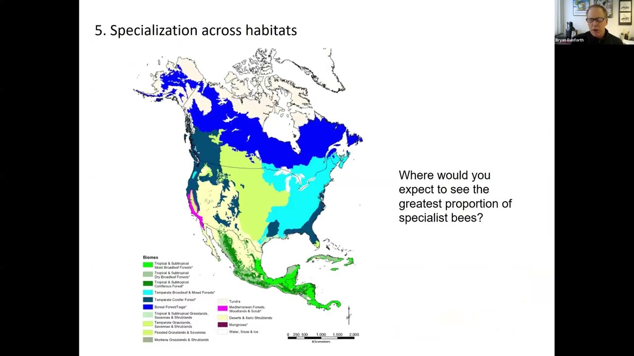 Bryan Danforth: Host-plant Specialist Bees – Biology, Biodiversity, Conserving Them in Your Backyard