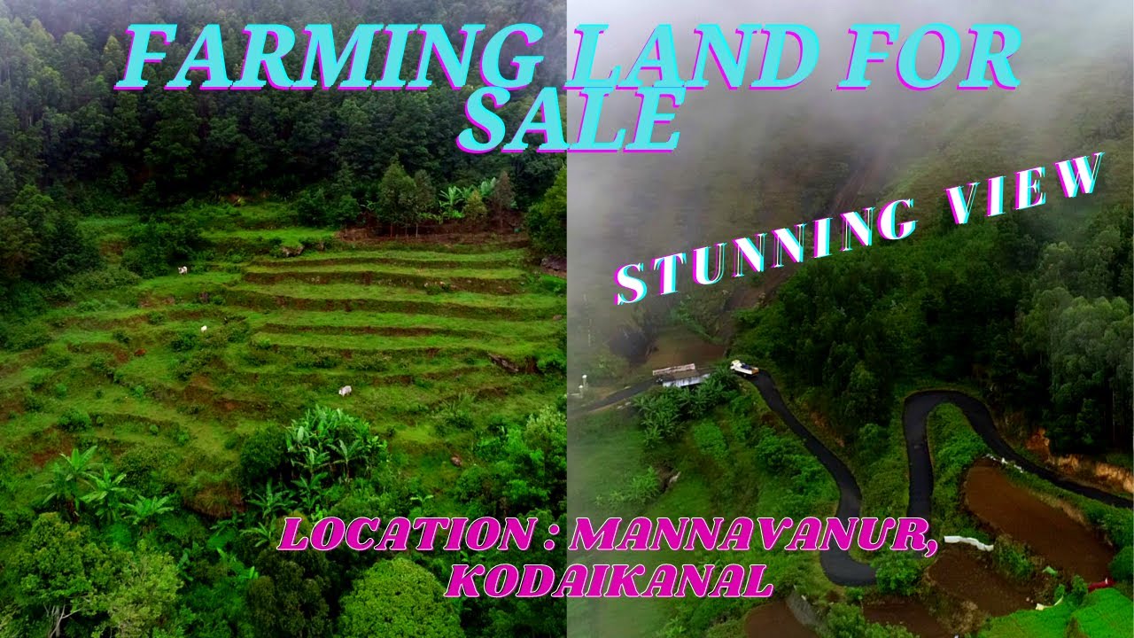 Farm Land for Sale in Kodaikanal| Mannavanur|SOLD OUT|Resort, Cottage, Homestays|Mannavanur Lake|E-6