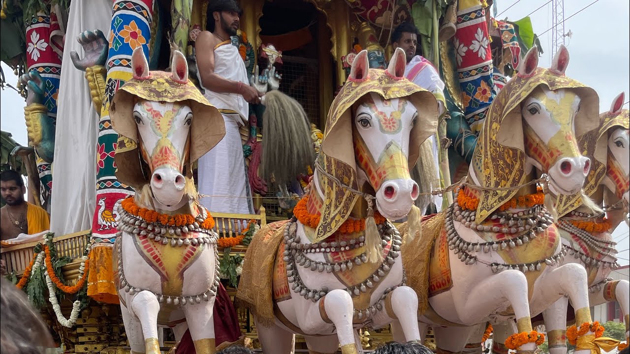 Amazing darshan of Lord Ranganath seated on a sandalwood chariot 