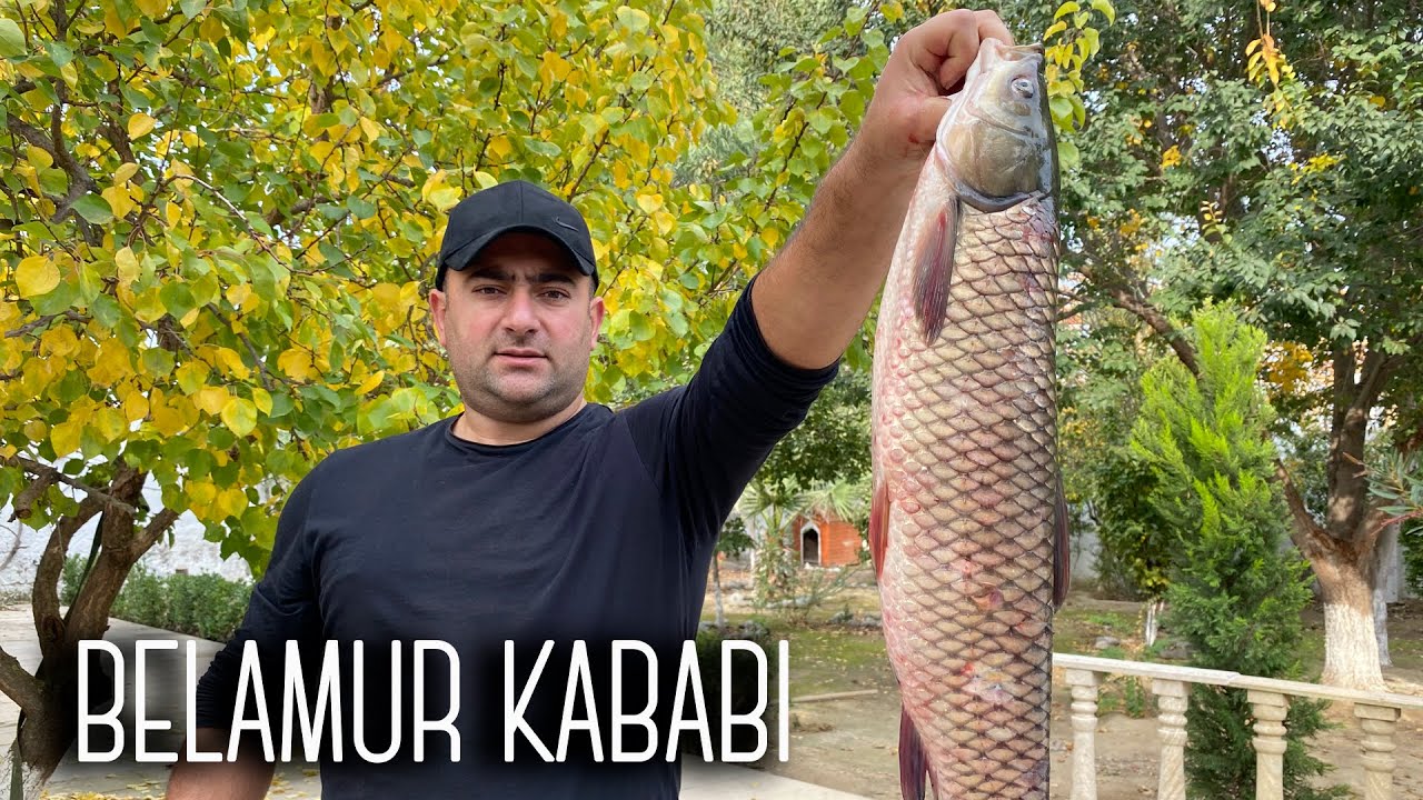 Belamur balıq kababı, Balık ekmek skumbriya balığı ilə