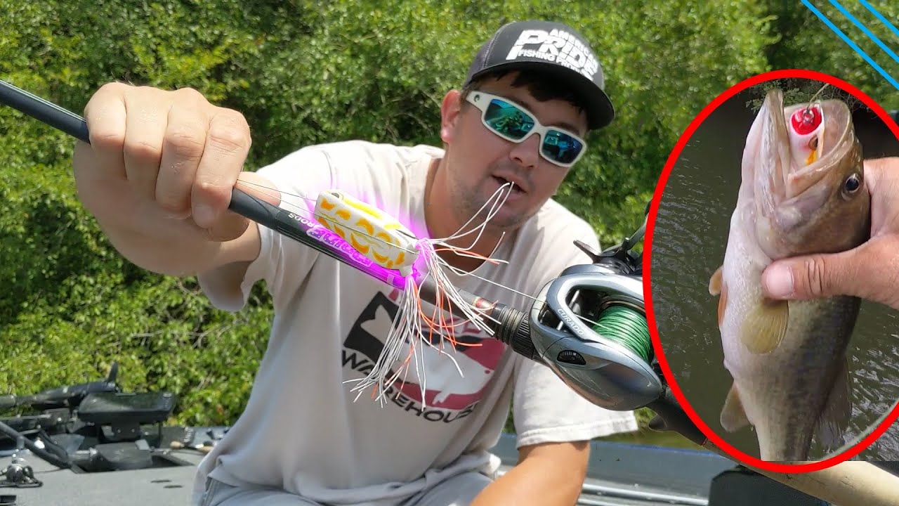 August Topwater Bass Fishing on Lake Chickamauga!