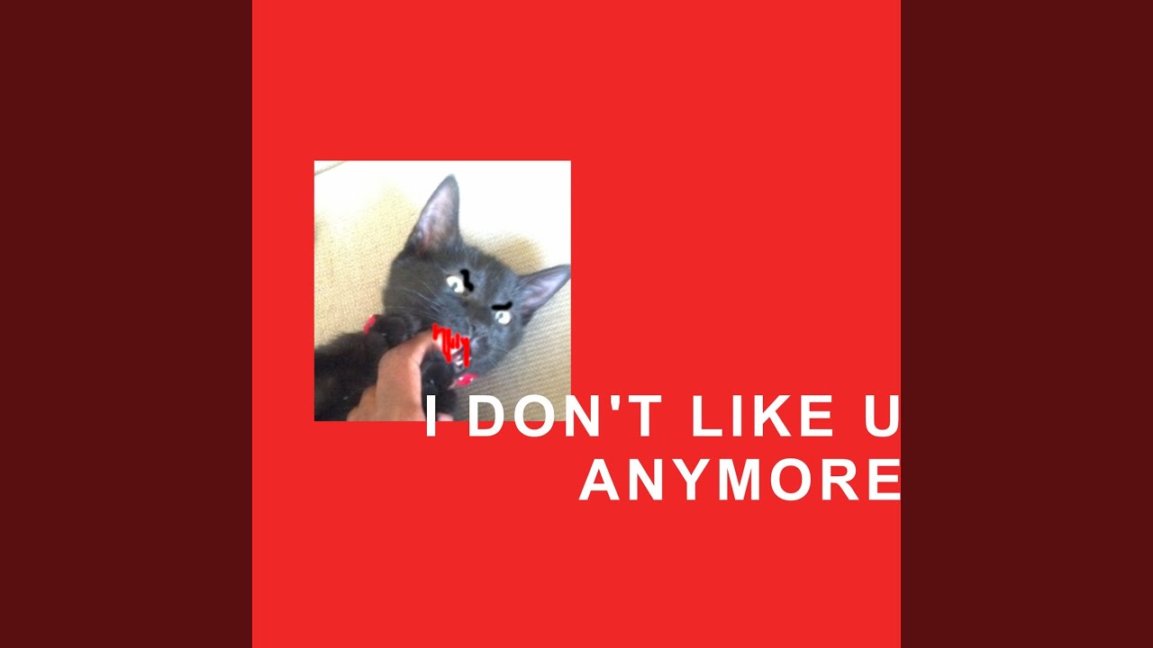 I Don't Like U Anymore