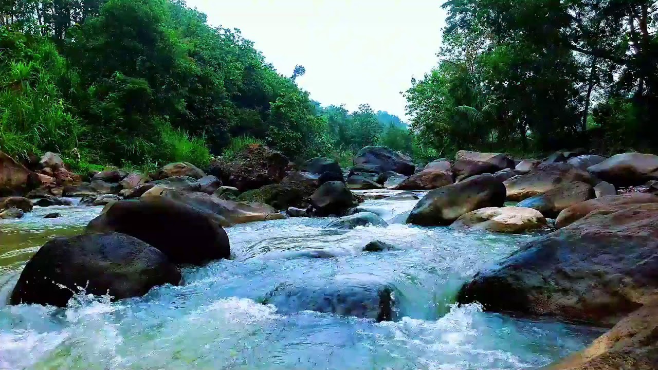 Relaxing Music for Stress Relief | Nature River Sounds for Stress, Anxiety & Insomnia