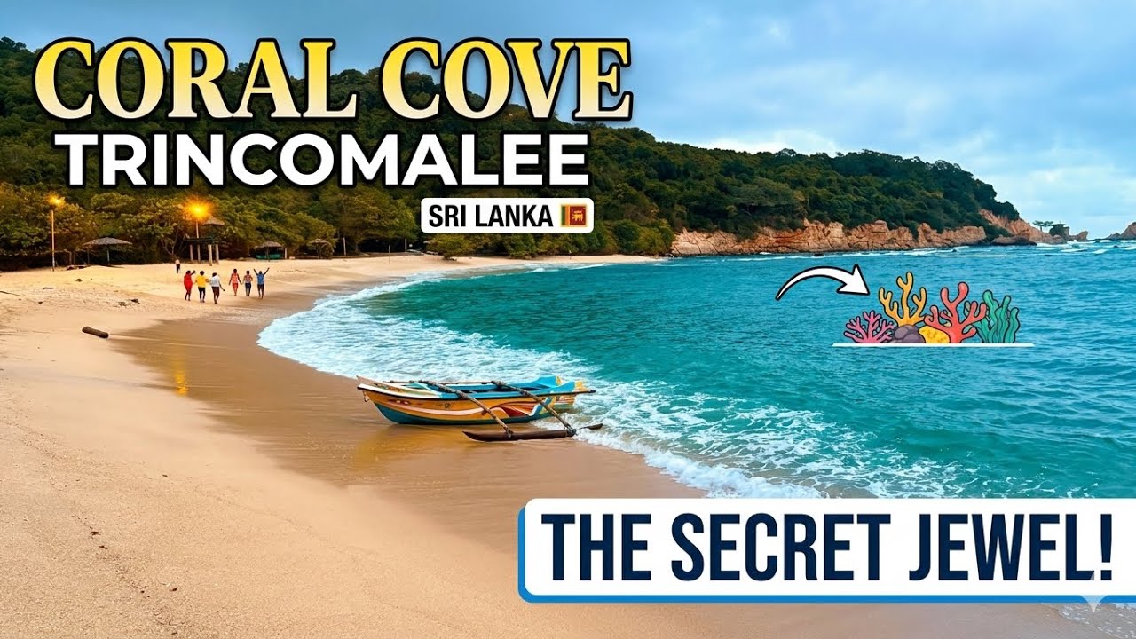 Unique beach in sri Lanka #viral #trending #fypシ #foryou #viralvideo #fyp #travel 