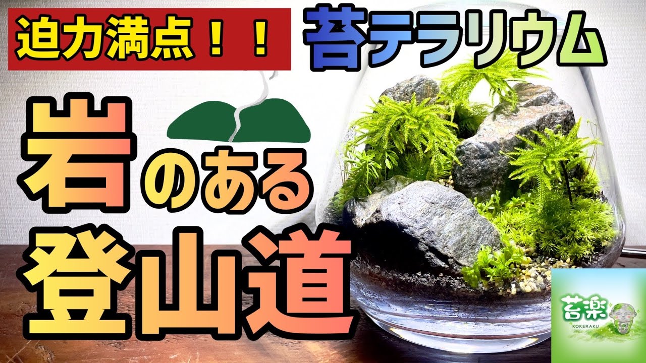 迫力満点！！岩のある登山道【苔テラリウム制作動画】