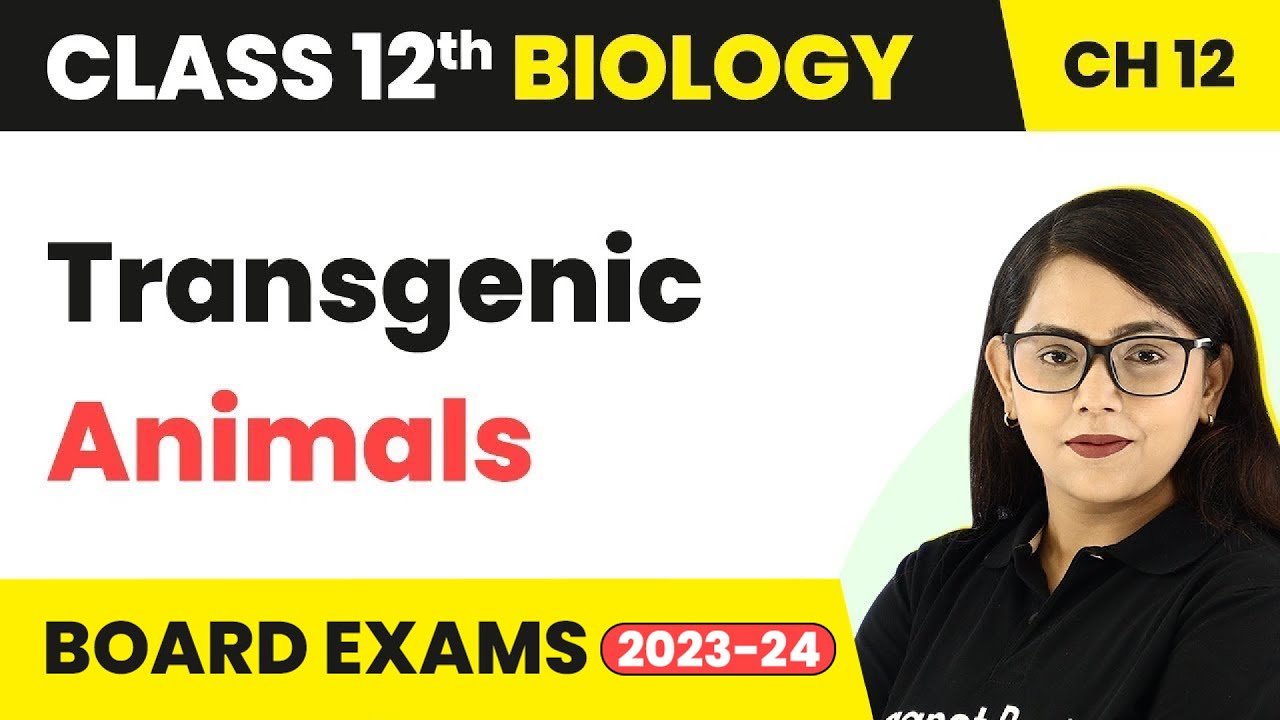Transgenic Animals - Biotechnology and Its Applications | Class 12 Biology Chapter 12 (2022-23)