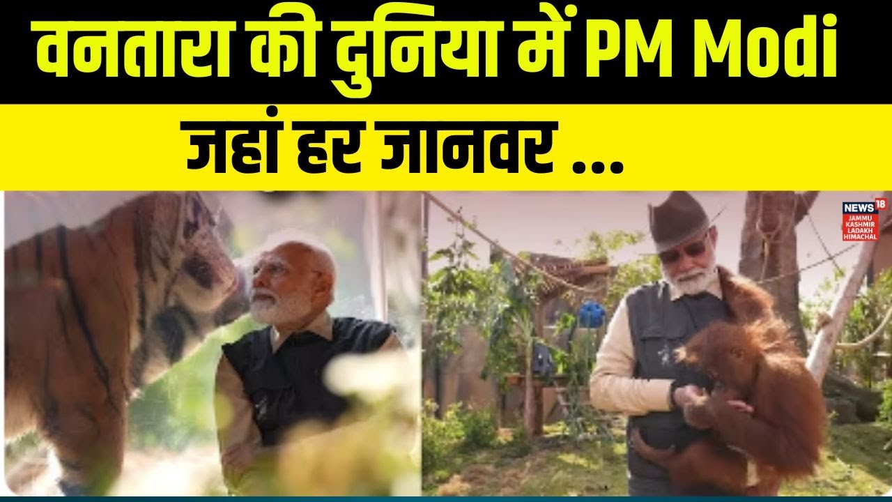&ldquo;Vantara&rdquo;  में PM मोदी की सैर | PM Modi Gujarat Visit | Vantara Jamnagar | Anant Ambani | N18V