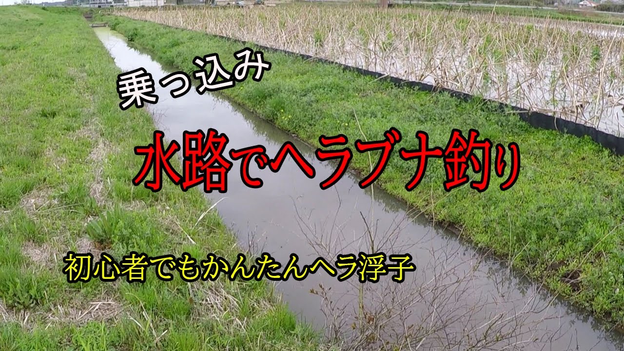 乗っ込みのヘラブナ釣り！かんたんヘラ浮子仕掛け　野釣りで鮒を狙う 【霞ヶ浦】