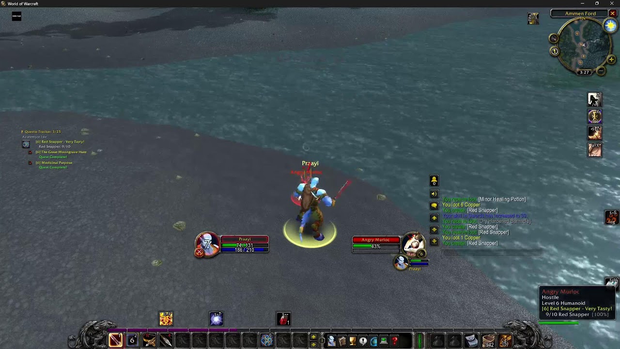 WoW Hunter 5-6