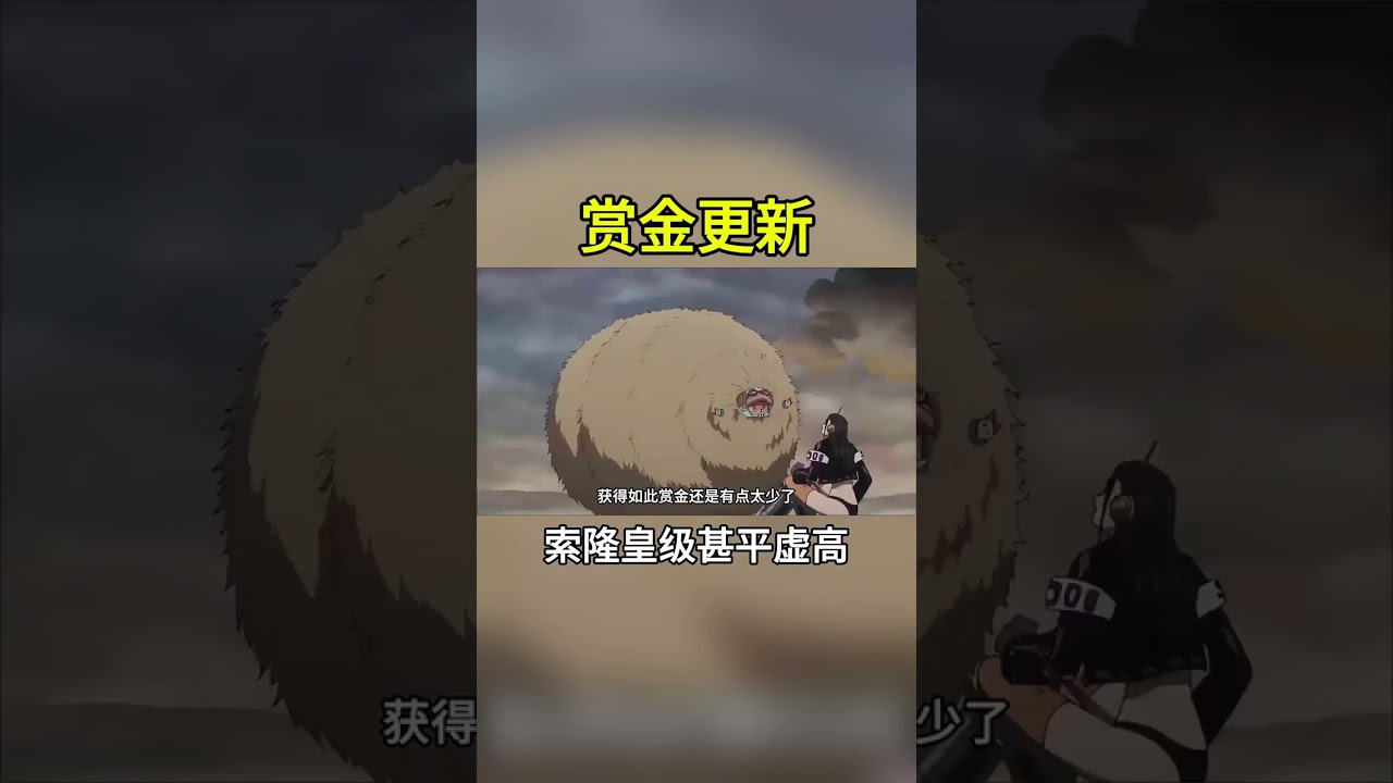 外網情報洩露草帽團最新懸賞，布魯克身分揭曉，烏索普甚平虛高 #海賊王