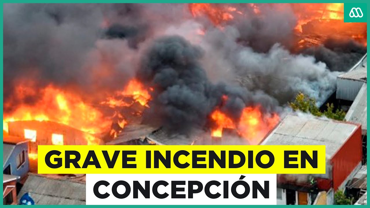 Grave incendio en Concepción: Decenas de casas afectadas tras llamas sin control