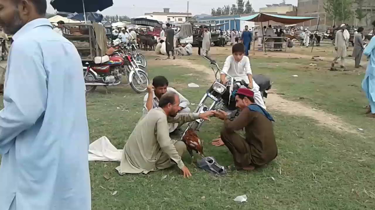 MELA|SATURDAY MELA TANGI|KHIYALI MELA TANGI|TANGI,CHARSADDA