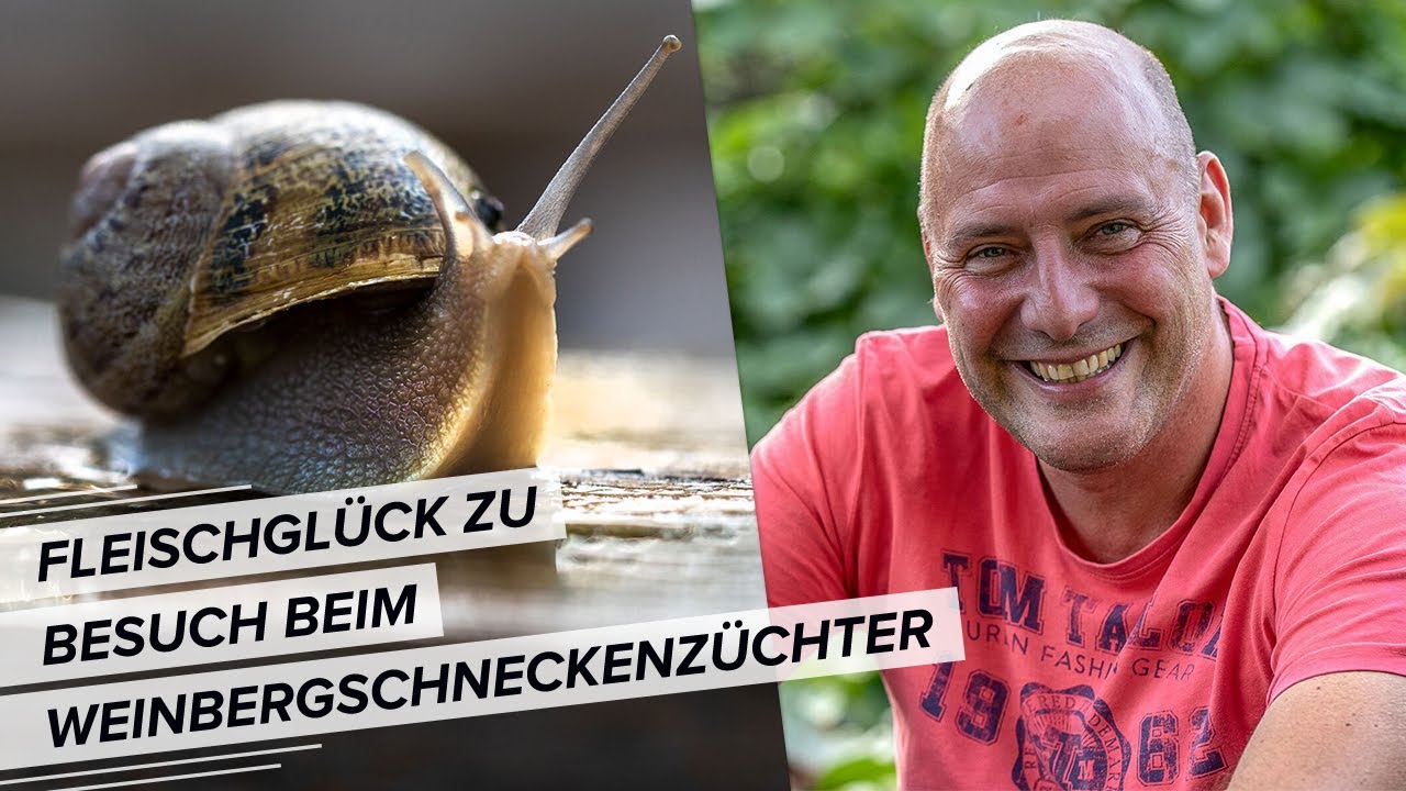 Von Schneckenleber und Schneckenkaviar: Zu Gast in der Weinbergschneckenzucht von Christoph Salanda