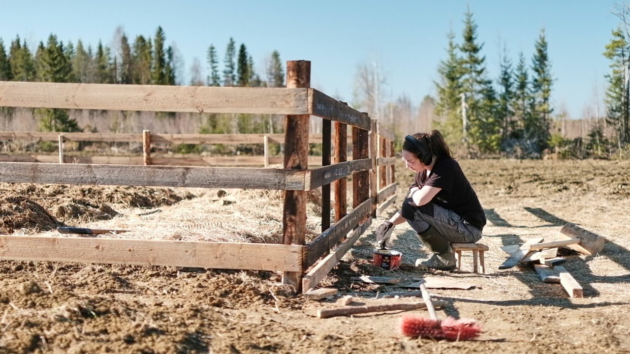 Building Simple Gates & Pine Tar