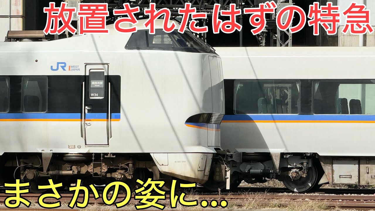 新幹線開業で放置されてしまった特急の現在の姿が凄すぎた…
