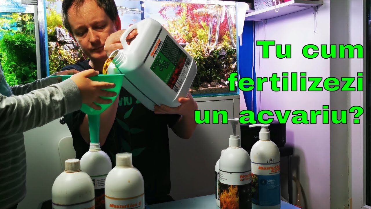 Fertilizare acvariu plantat (Ce variante avem și ce să alegem)