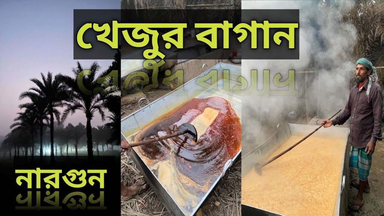 নারগুণ - খাঁটি খেজুরের গুড়ের খোজে । Nargun - Thakurgaon |