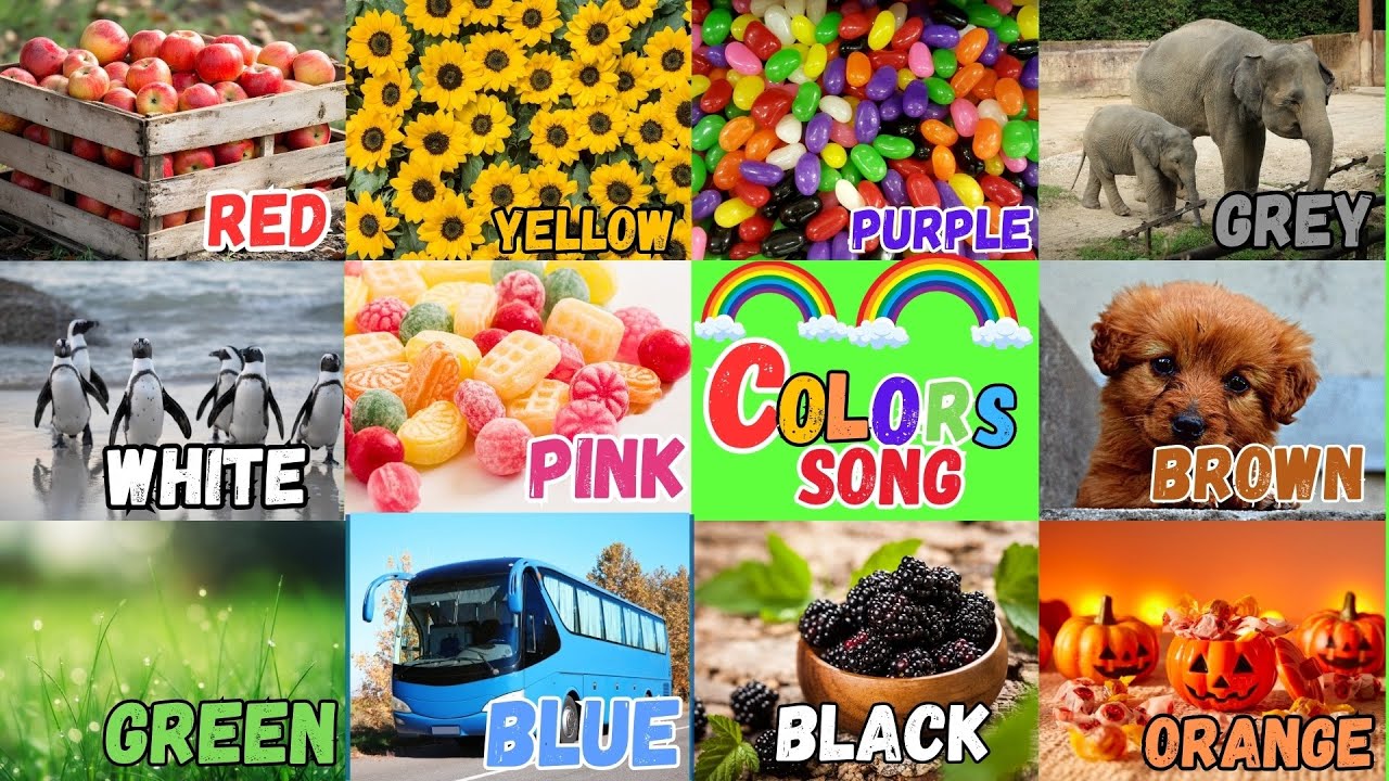 Learn Primary Colors For Kids | Nursery Rhymes | Red, Blue, Yellow | Learn English Vocabulary