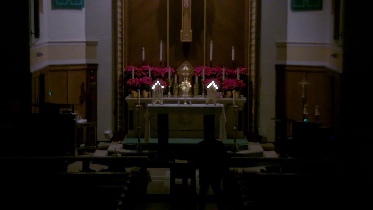Holy Hour for Life