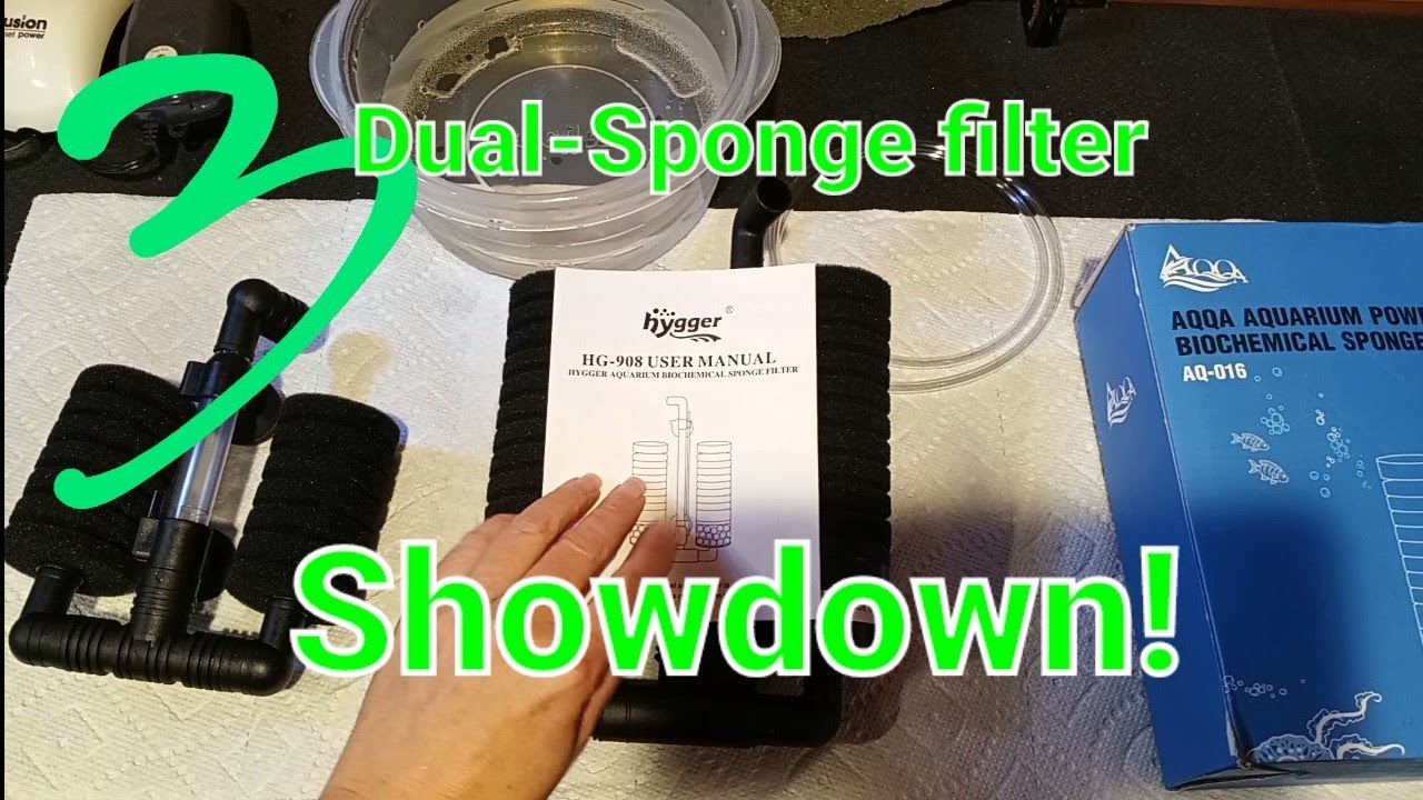 3 dual-sponge filters showdown! comparison, demonstration and review!