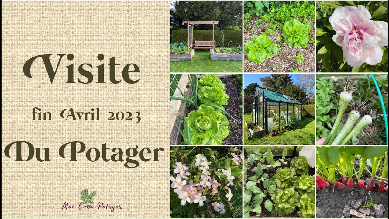 Visite du potager et de la serre à fin Avril