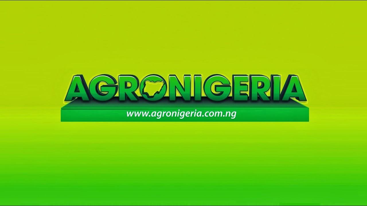 NATIONAL AGRICULTURE  GROWTH SCHEME AND AGROPOCKET (NAGS-AP)