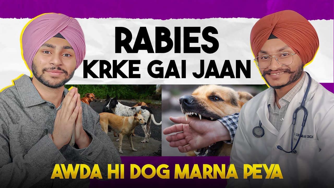 DOG DE CUTTAN NAL RABIES NAL GAI JAAN😮12 TEEKE?  - SUPREME COURT DE ORDER ON STREET DOGS