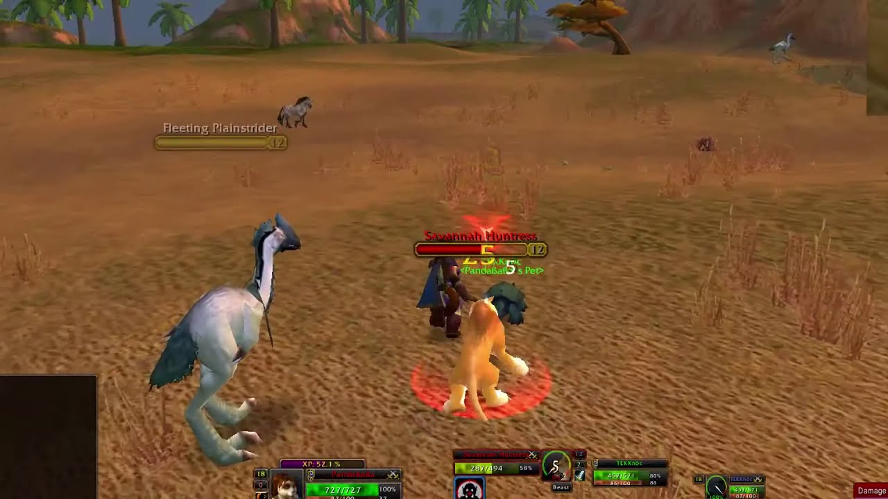 panda HUNter @ tauri