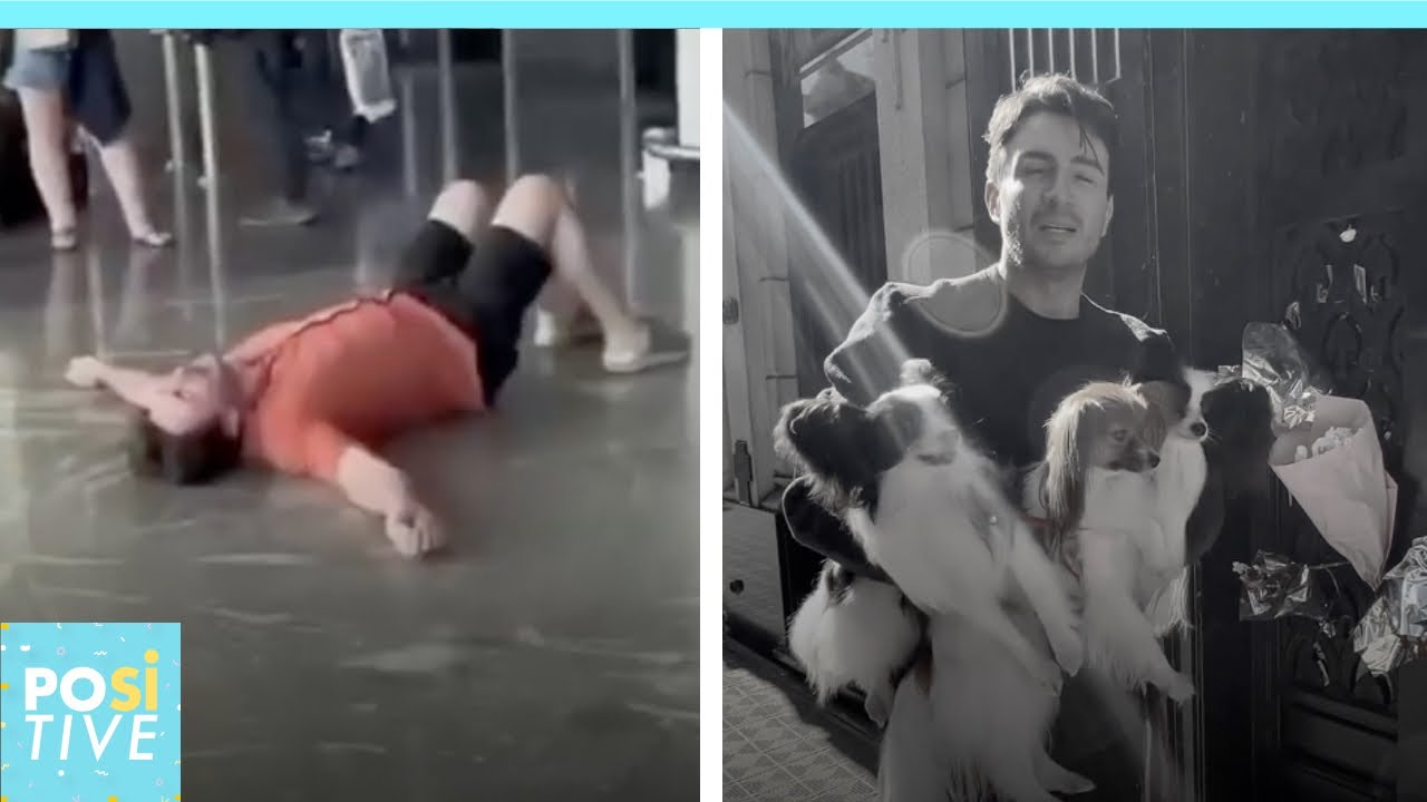 He burst into tears when the airline lost his four dogs | Positive