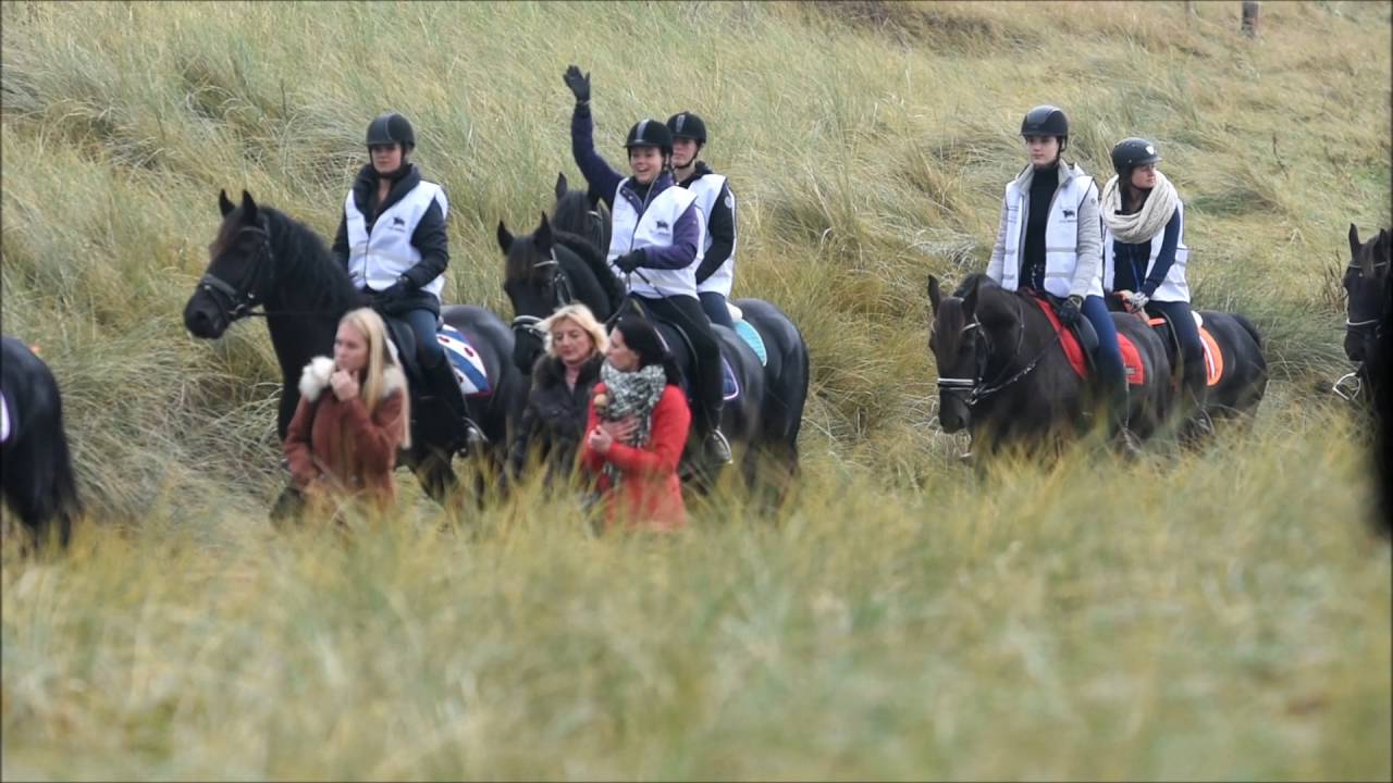 Mega strandrit Friese paarden Julianadorp 2016