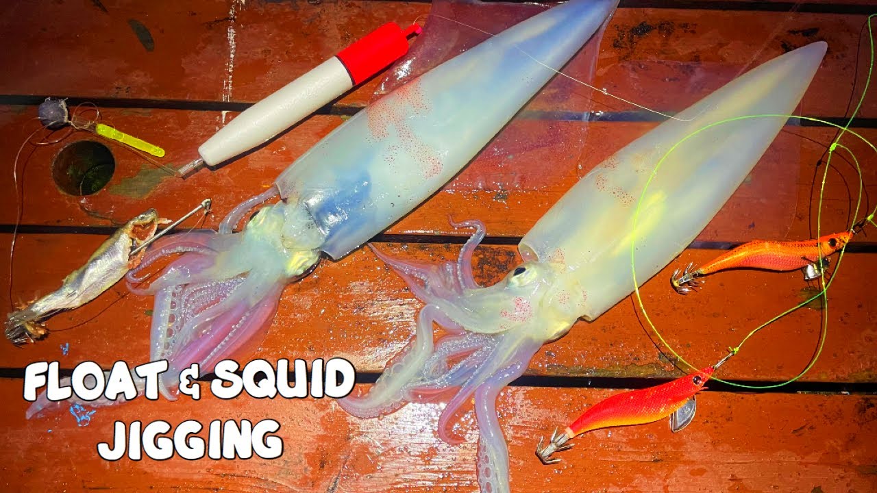 CATCHING SQUIDS MADE EASY - CATCHING SQUID TWO WAYS -  JIG vs FLOAT