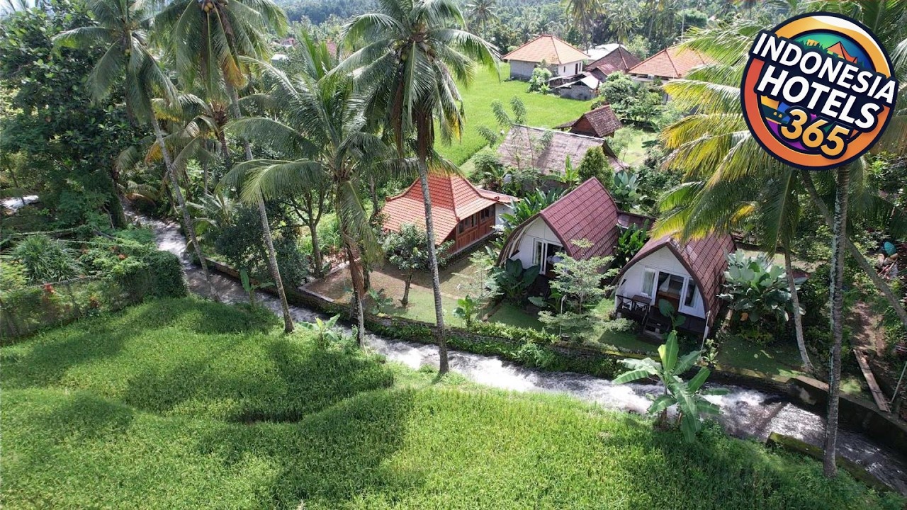 Damuh Pertivi, River and Rice Fields View | Bali, Indonesia | Hotel Review 🏨
