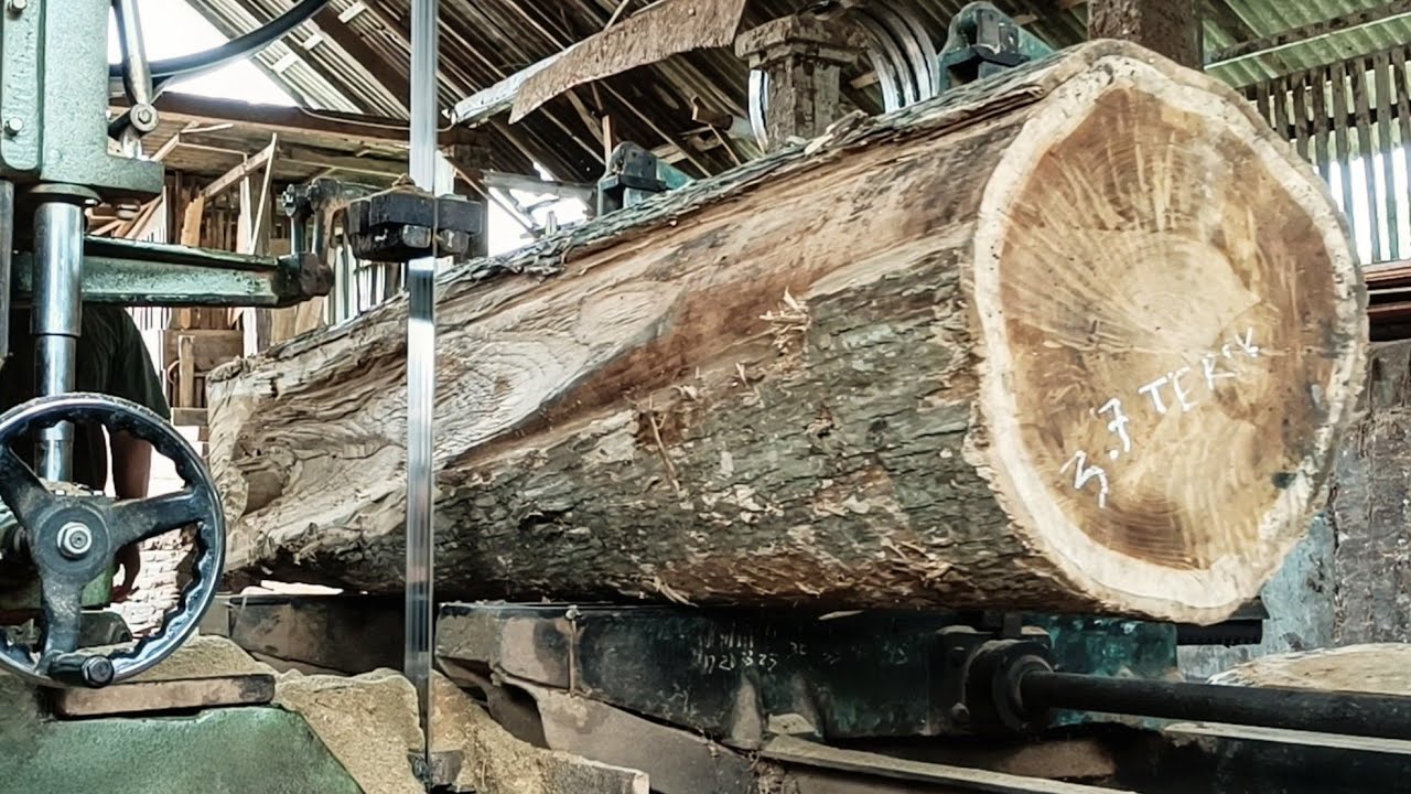 Cutting large and valuable teak wood into valuable planks || Wood from Indonesia