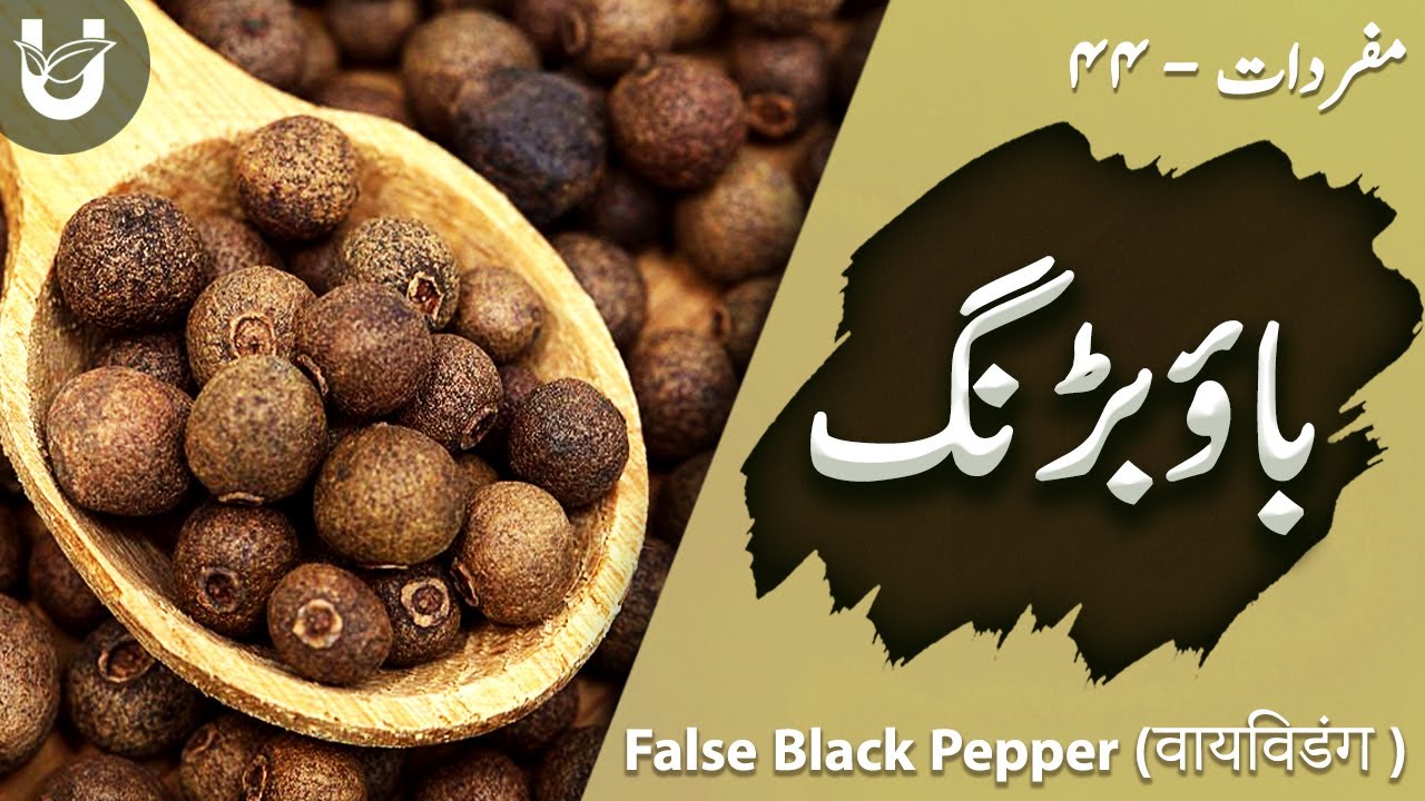 Baubadang / False Black Pepper / वायविडंग / باؤبڑنگ