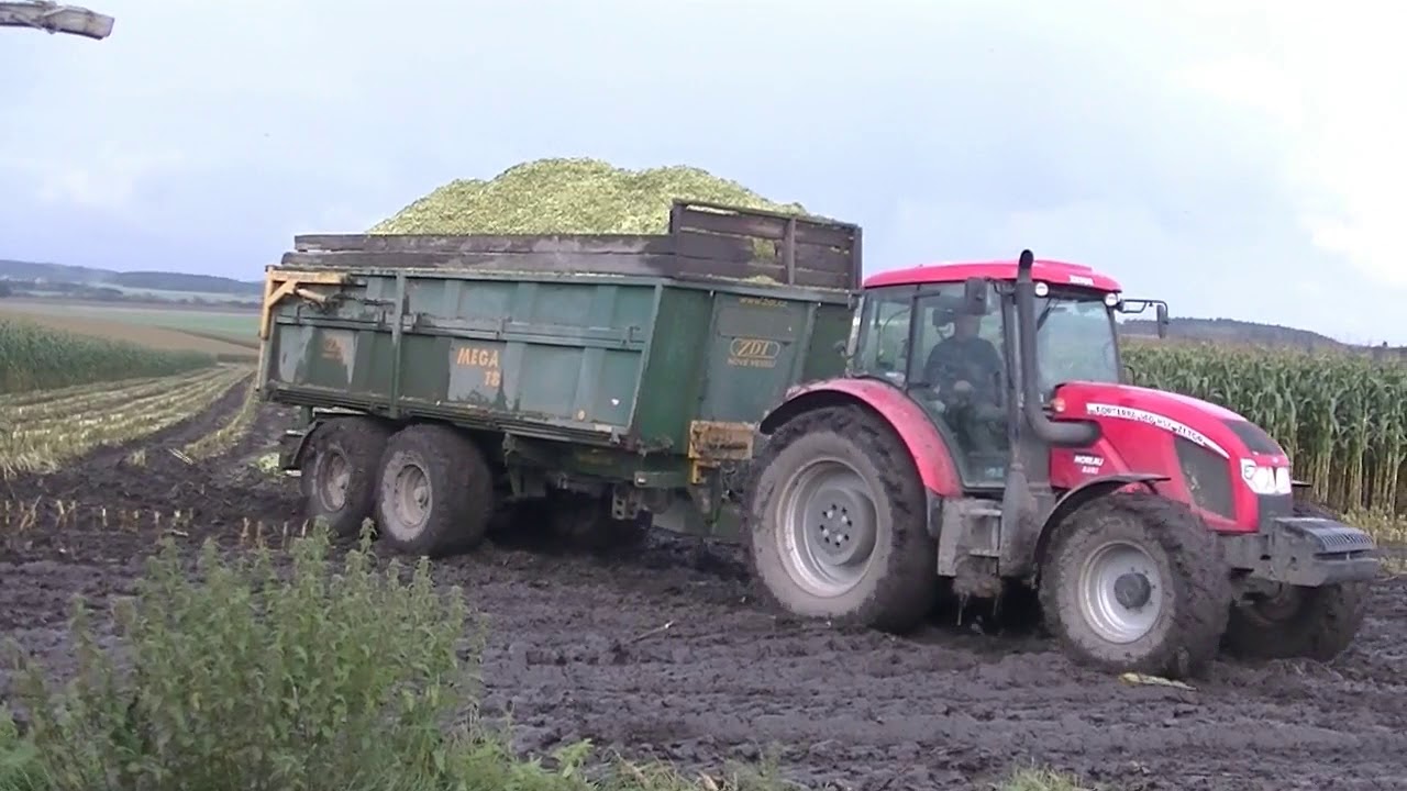 Sklizeň Kukuřice s Claasem Jaguar 890 v Blátě
