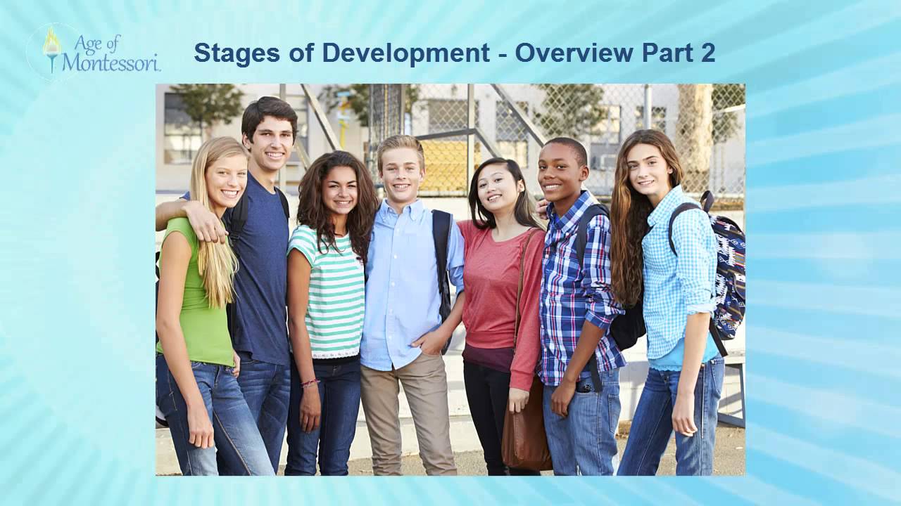 Stages Of Development Overview Part 2