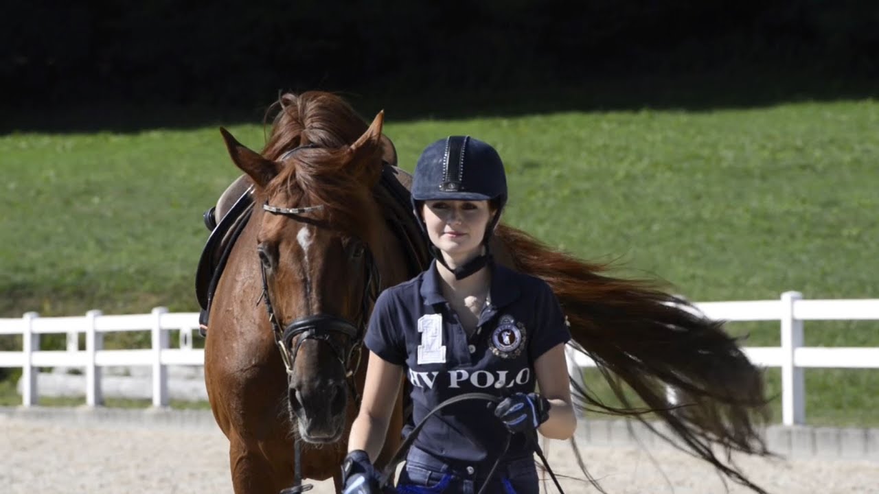 Reitanlage Sandberg // Pia Wilhelm // Equestrian Videographie