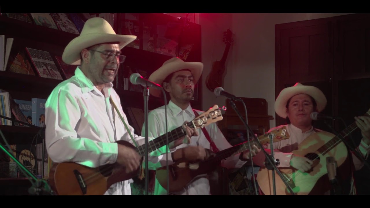 Mono Blanco: De Veracruz Para El Mundo