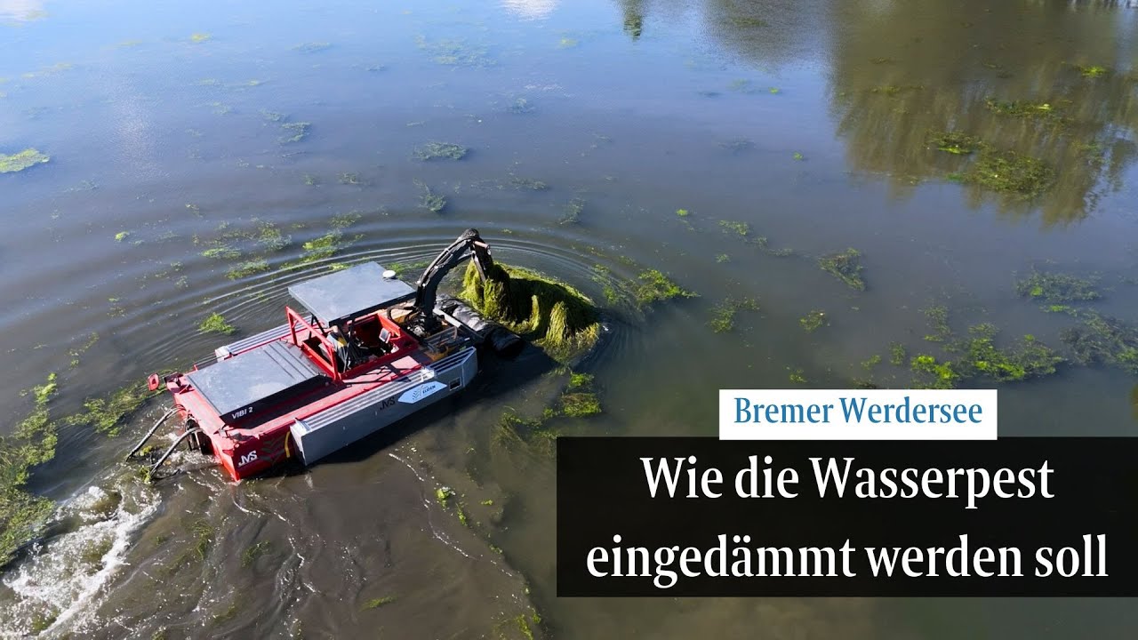Wie Bremen die Wasserpest auf dem Werdersee schon jetzt für 2026 bekämpfen will | Drohnenaufnahmen