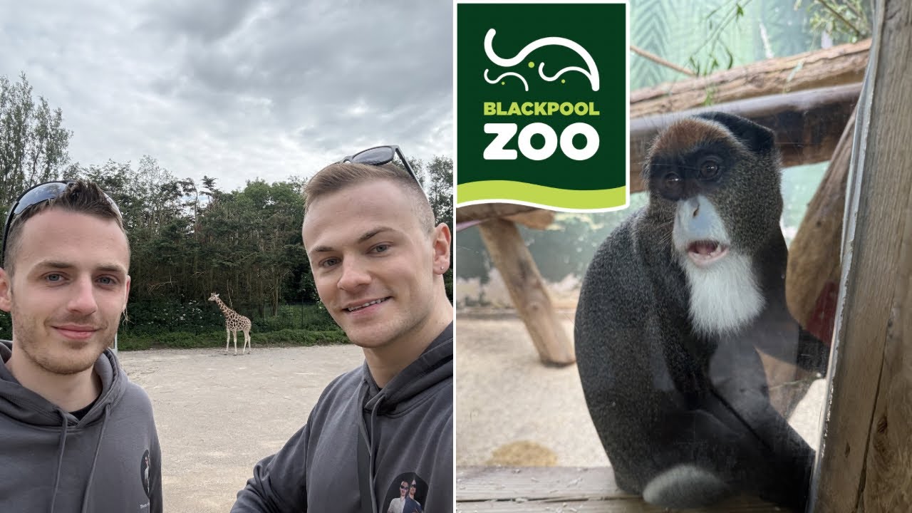 Blackpool Zoo Vlog June 2026 - NEW Giraffe Heights Expansion & First Ever Visit!